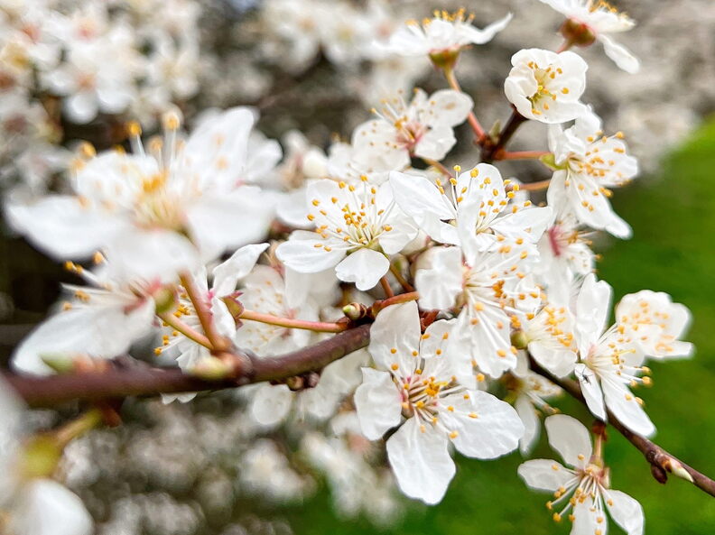 23-03-13 10-52-45 4830